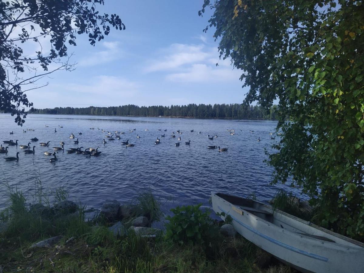 Polku Apartaments Virasoja Esterno foto