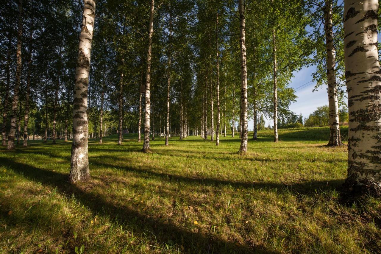 Polku Apartaments Virasoja Esterno foto