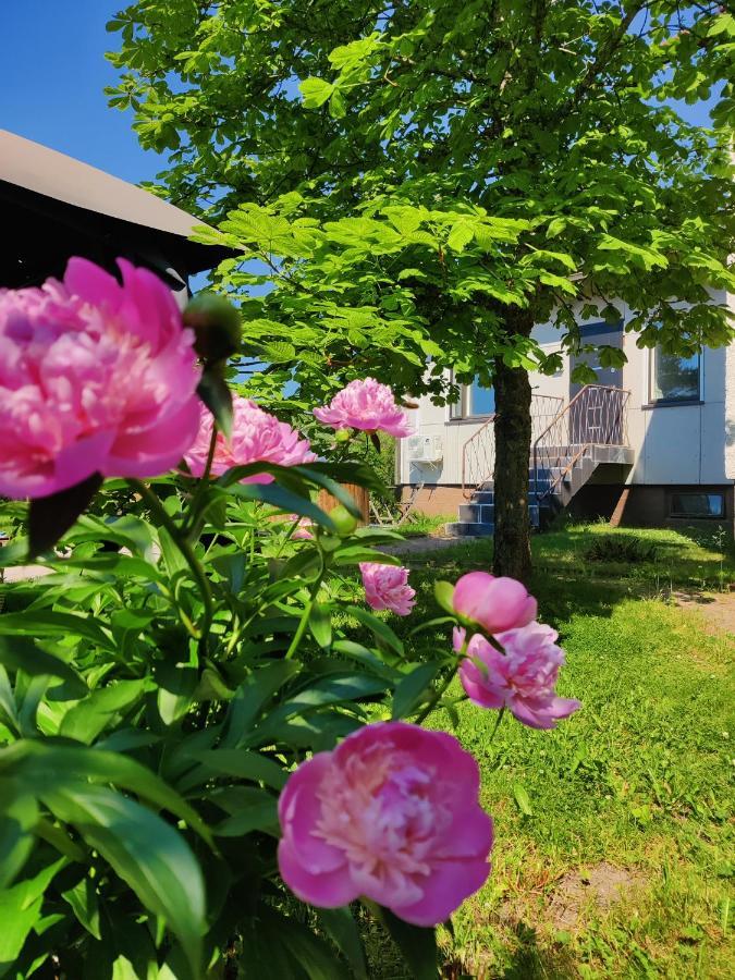 Polku Apartaments Virasoja Esterno foto